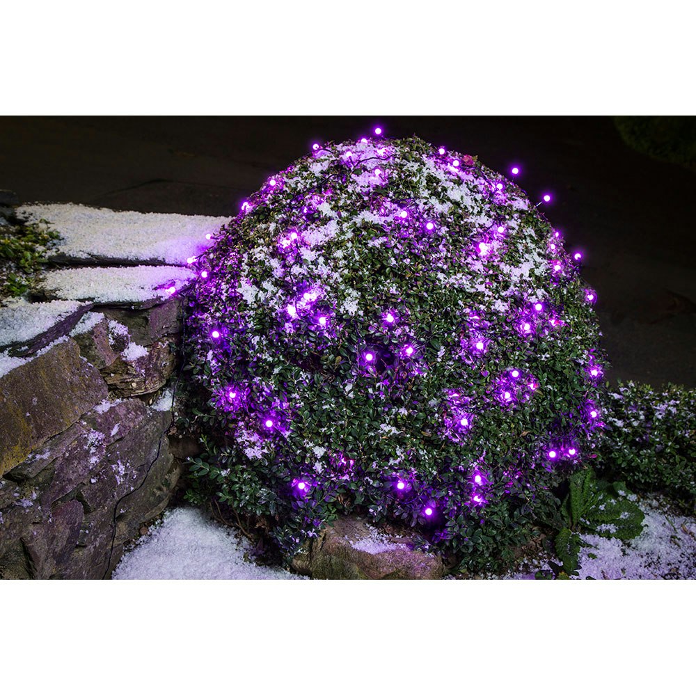 LED Globelichterkette runde Dioden 80 purpurfarbene Dioden IP44 thumbnail 5