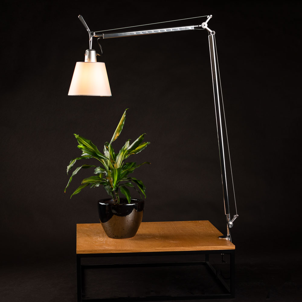 S.Luce Artemide Tolomeo Basculante Tischlampe Ø 18cm Pergament