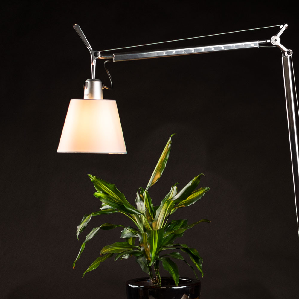 S.Luce Artemide Tolomeo Lettura Basculante Stehleuchte