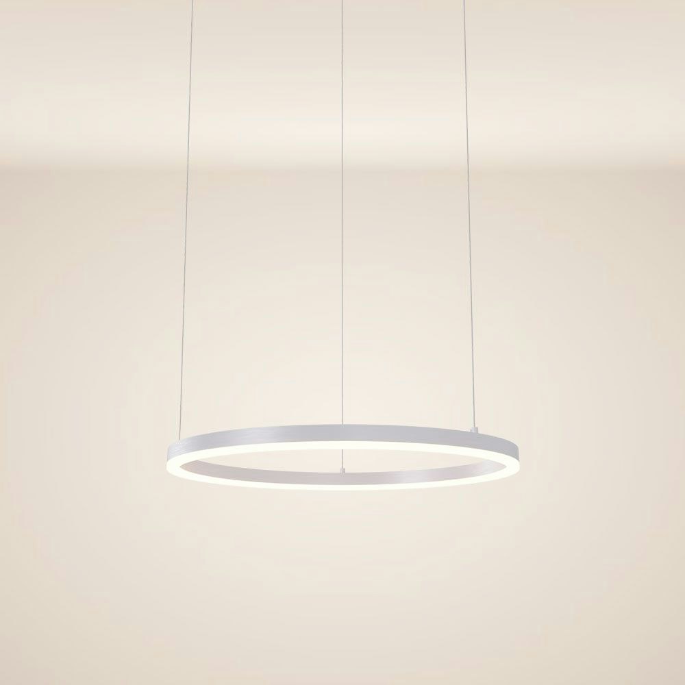 s.LUCE Ring 60 LED Pendant Lamp 5m Suspension 1