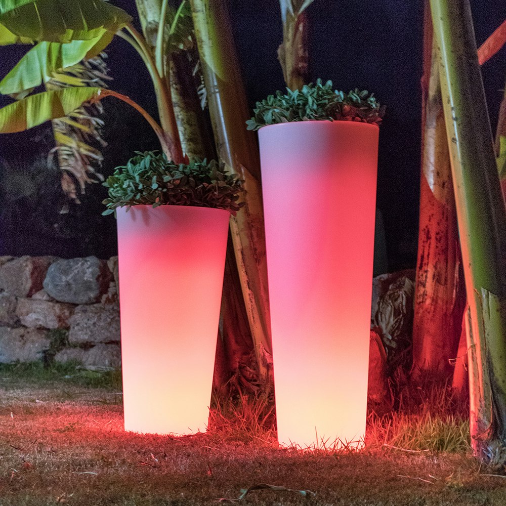 Ficus leuchtender LED Blumentopf mit Akku und Fernbedienung thumbnail 3