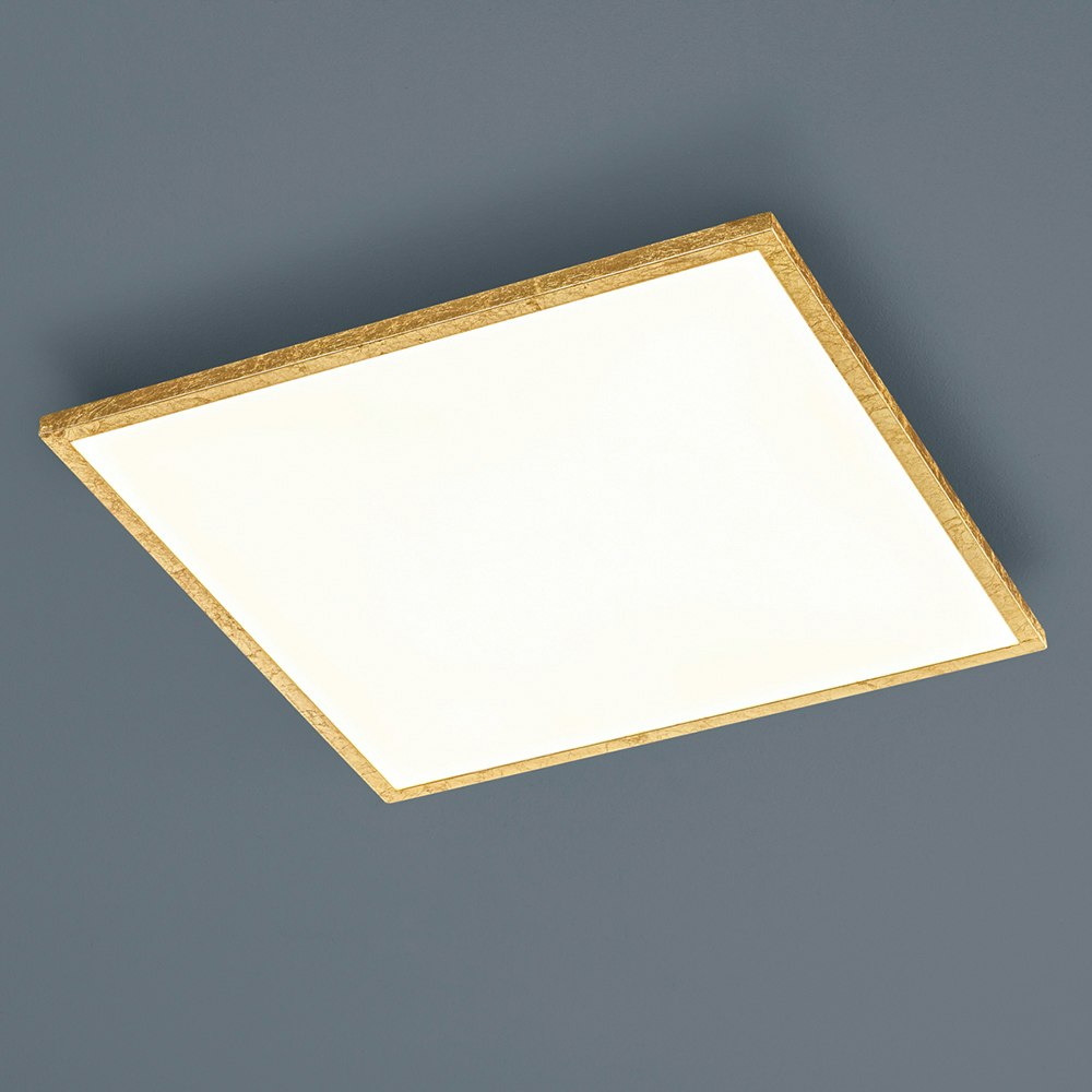 Helestra LED Ceiling Light Rack Gold Leaf 