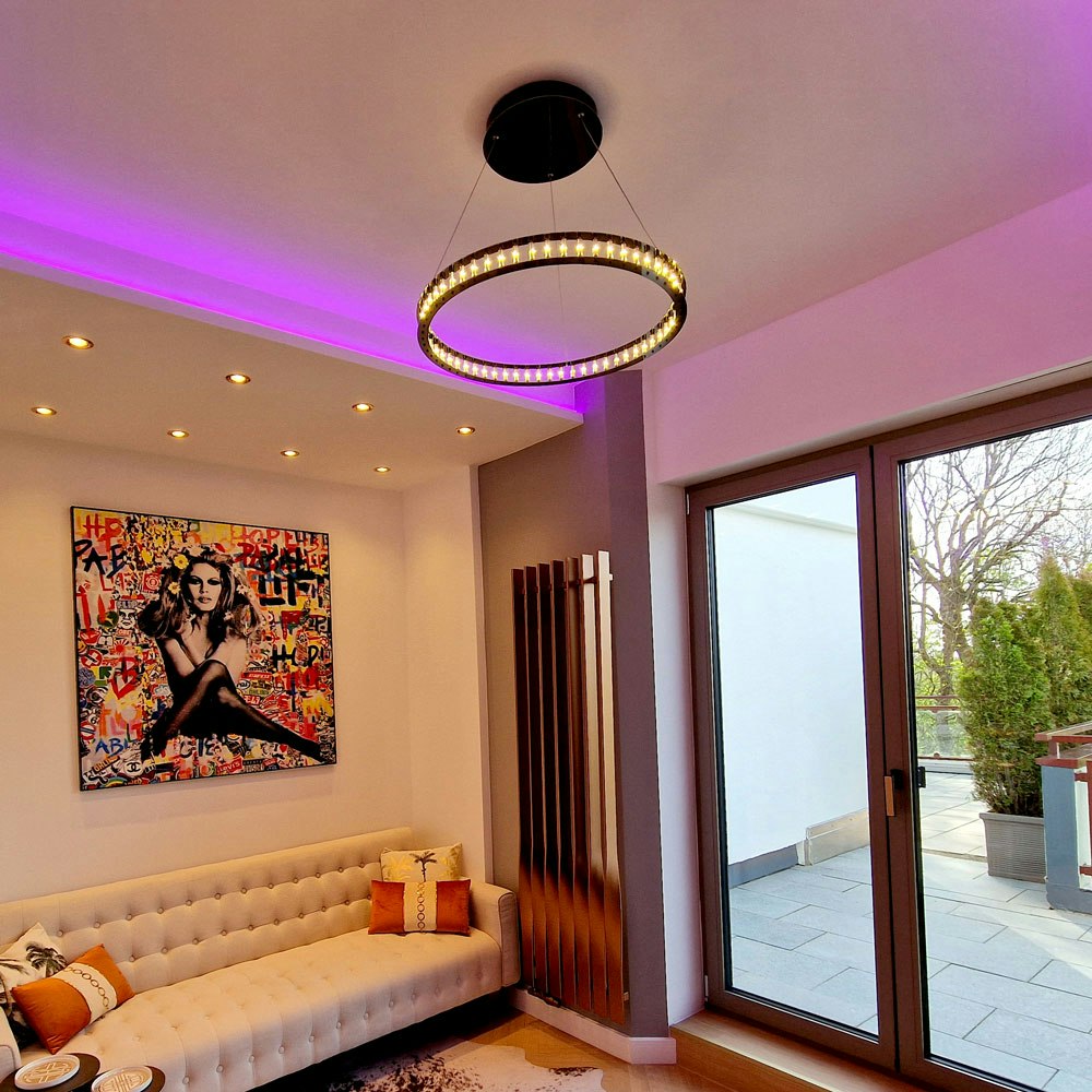 s.luce Atom Ring LED Hanging Lamp Dimmable 1