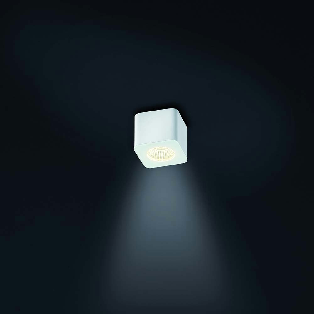 Helestra LED Deckenleuchte Oso Weiß 