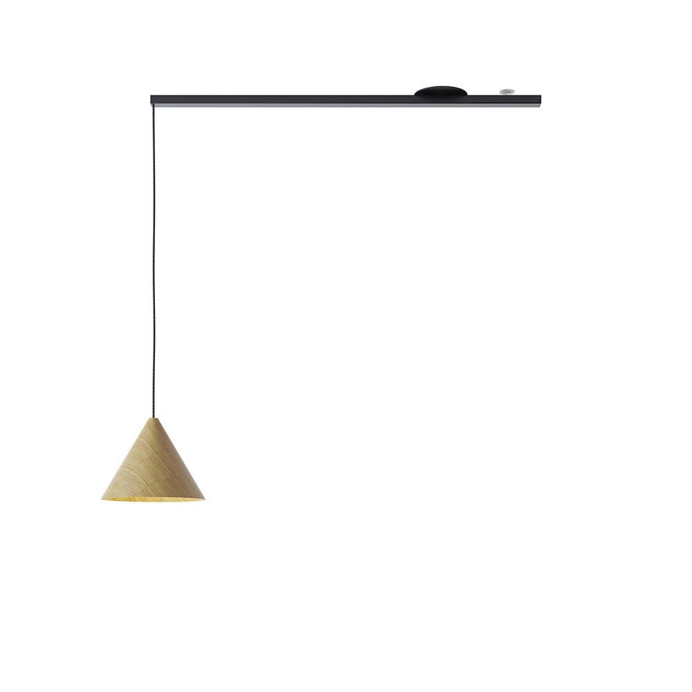 Swing 1 rotatable & adjustable suspension system for a pendant lamp 2